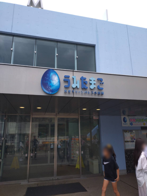 大分への社員旅行！楽しかったです！